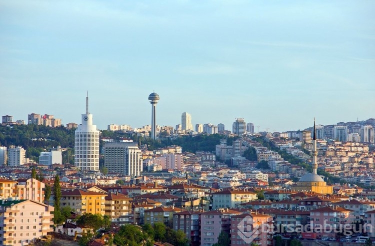 Türkiye'nin en zeki şehri belli oldu
