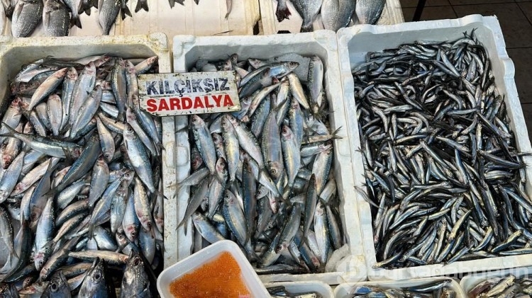 Sardalya ve hamside bolluk balıkçıların yüzünü güldürdü!