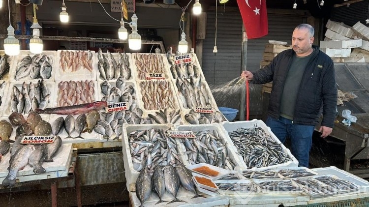 Sardalya ve hamside bolluk balıkçıların yüzünü güldürdü!