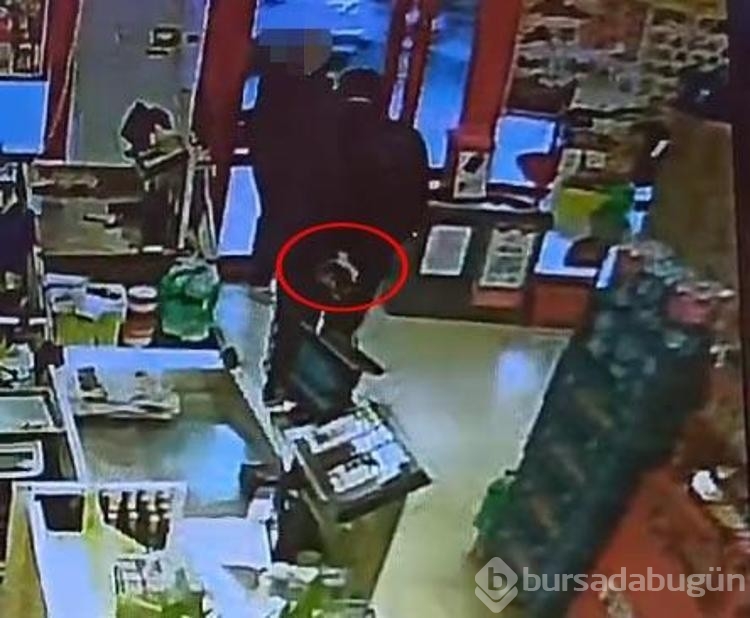 Adliyeye girmemek için direnen hırsızlık şüphelisi, başını otomobillere vurdu
