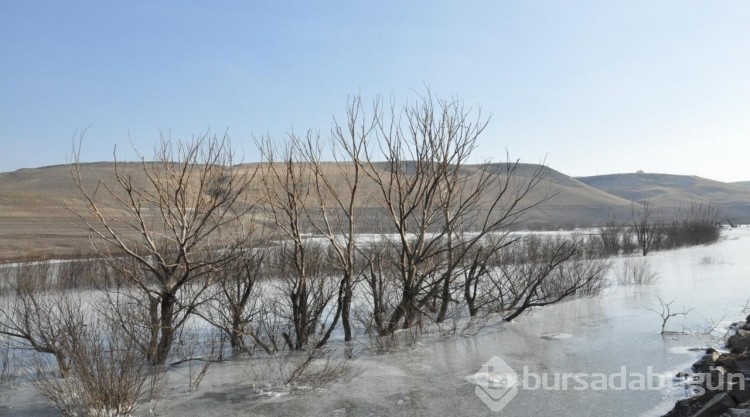 Soğuk hava Kars Barajı'nı dondurdu
