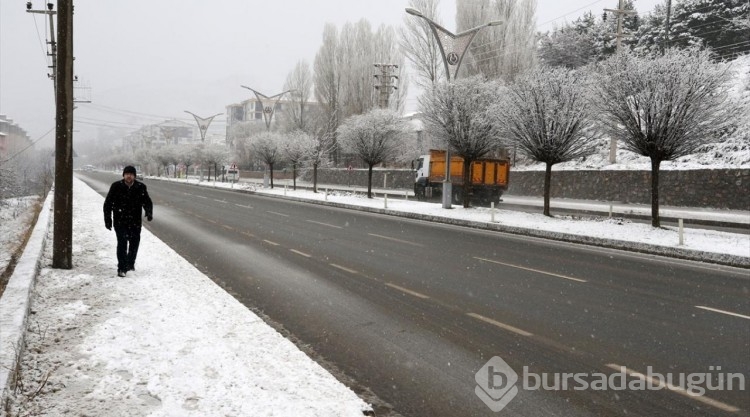 Muş ve Bitlis'te kar yağışı etkili oldu
