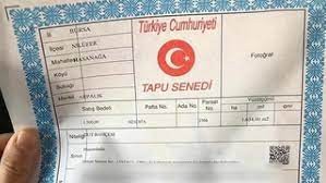Tapu için önce ablasını sonra kendisini vurdu!