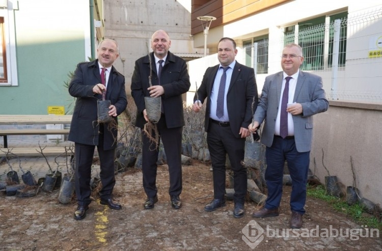 Bursa Orhangazi'de 3 bin incir fidanı dağıtıldı