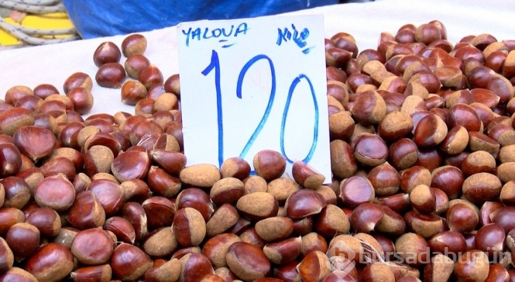 İstanbul'da pazarda Çin kestanesi denetimi