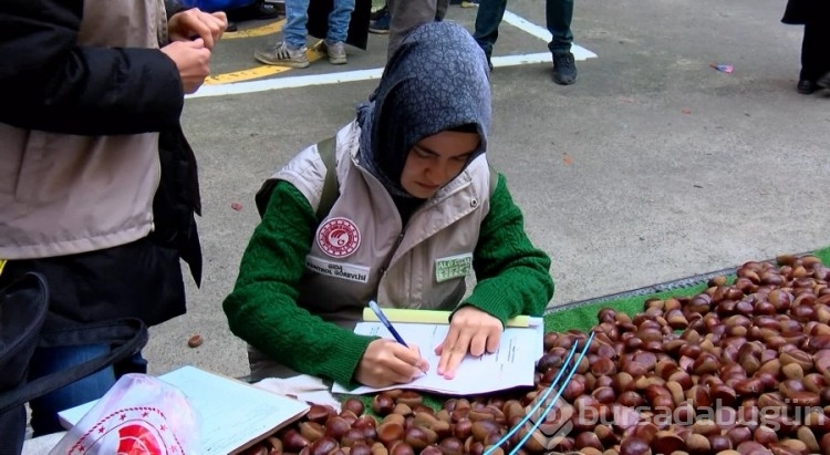 İstanbul'da pazarda Çin kestanesi denetimi