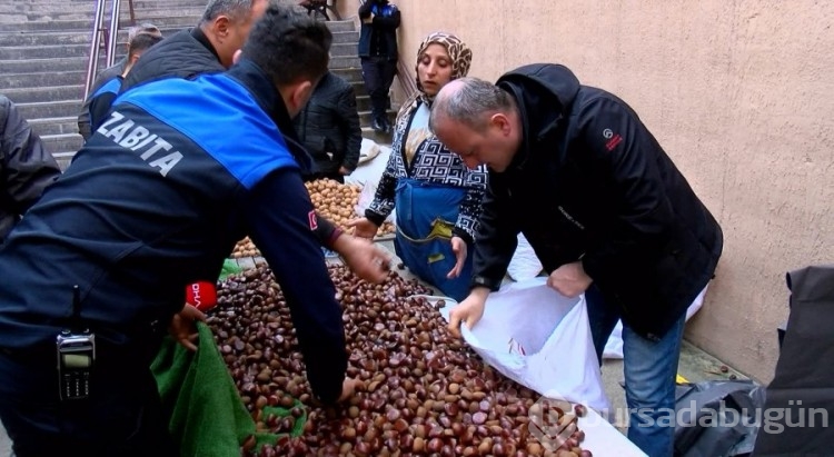 İstanbul'da pazarda Çin kestanesi denetimi