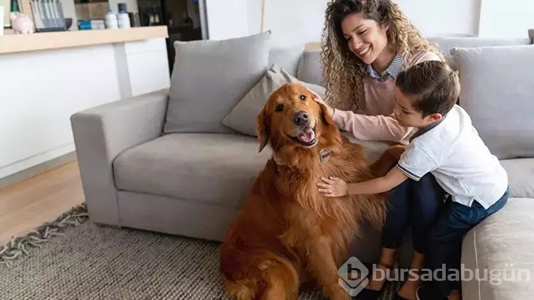 Evcil hayvan dostlarınız psikolojiyi korumaya yardımcı oluyor