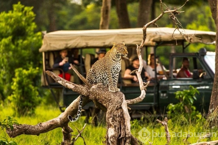 Kenya turistlere vize zorunluluğunu kaldırdı