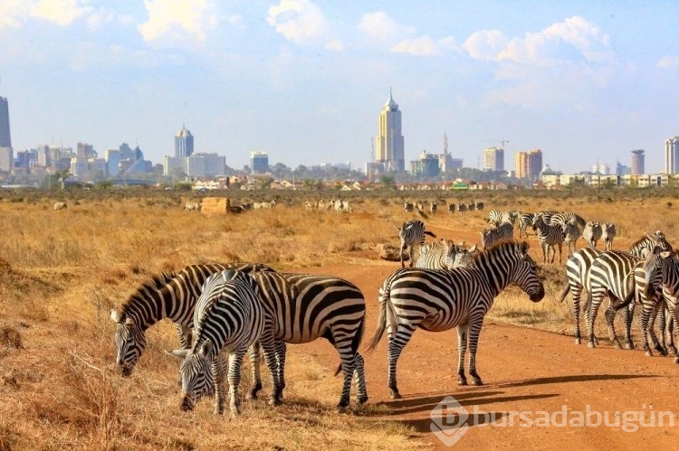 Kenya turistlere vize zorunluluğunu kaldırdı