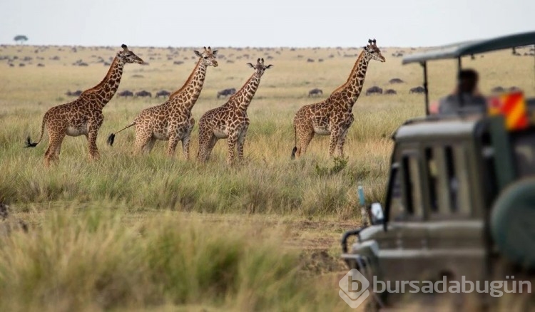 Kenya turistlere vize zorunluluğunu kaldırdı