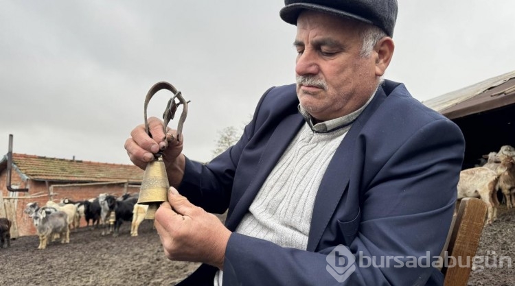 Müzisyen çoban kaval yerine çan çalıyor
