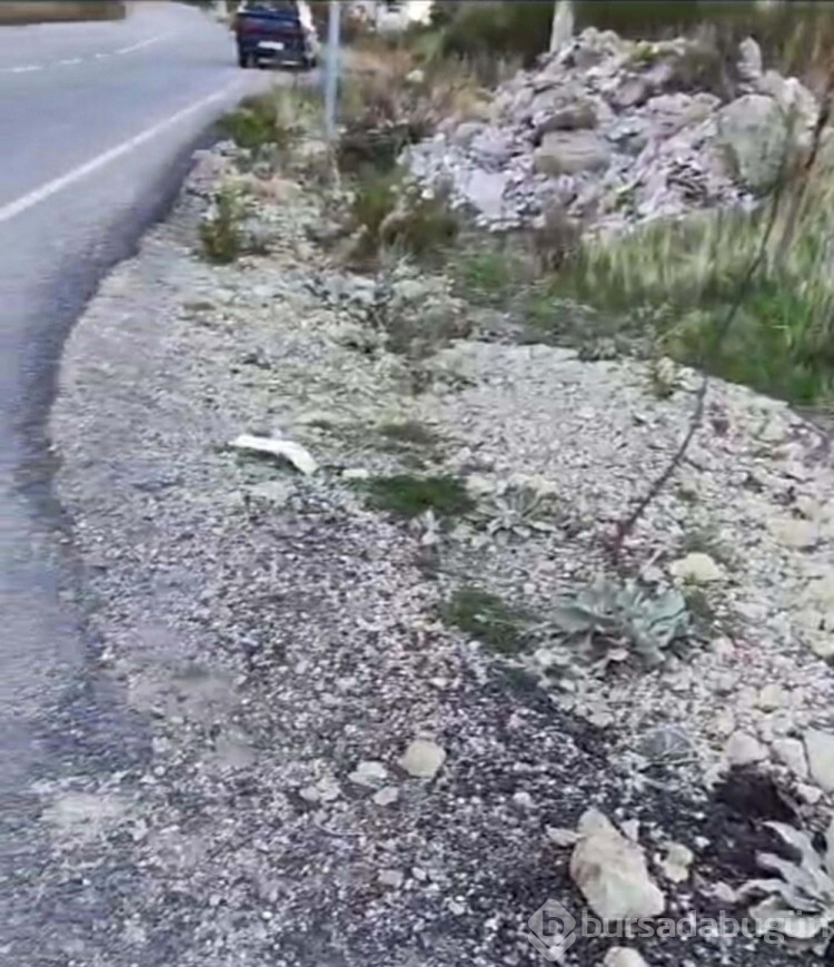 İzmir'de motosiklet sürücüsünün feci ölümü
