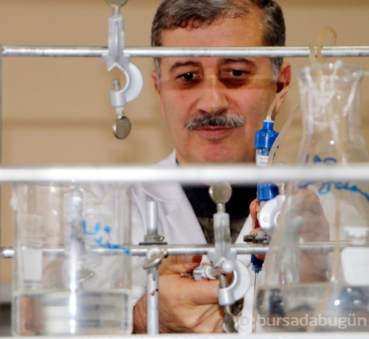 Prof. Dr. Gülçin'e ödül getiren zencefil araştırması!
