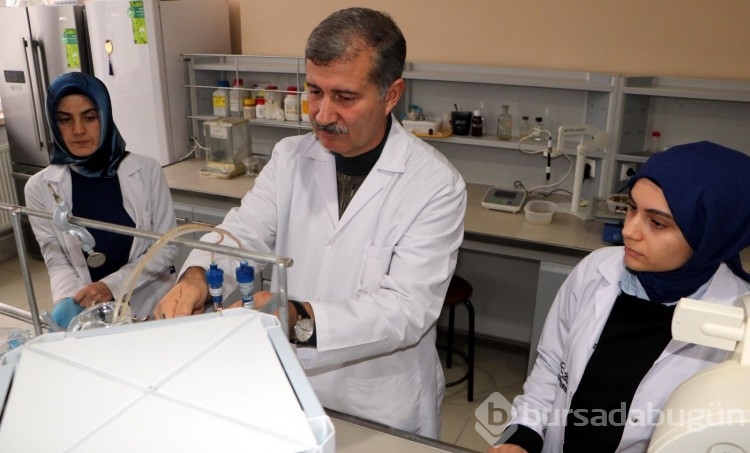 Prof. Dr. Gülçin'e ödül getiren zencefil araştırması!
