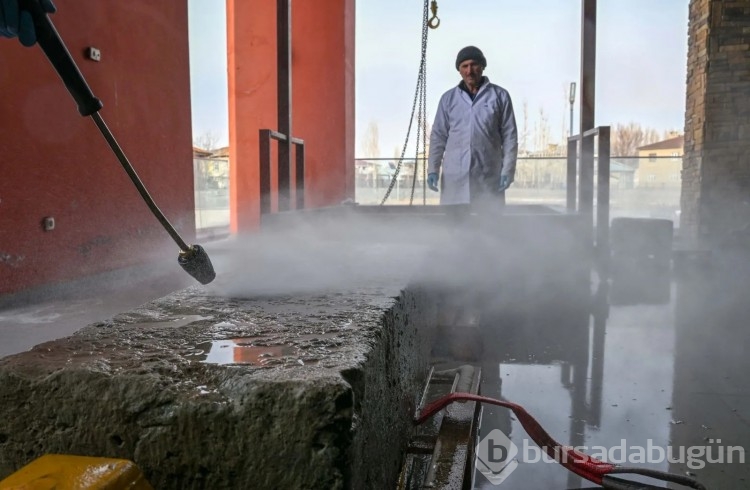Van Gölü'nde ortaya çıkan şahideler ince ince temizleniyor