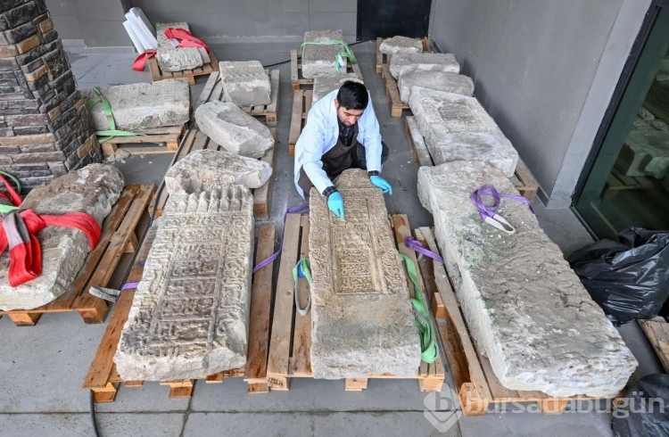 Van Gölü'nde ortaya çıkan şahideler ince ince temizleniyor