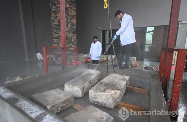 Van Gölü'nde ortaya çıkan şahideler ince ince temizleniyor