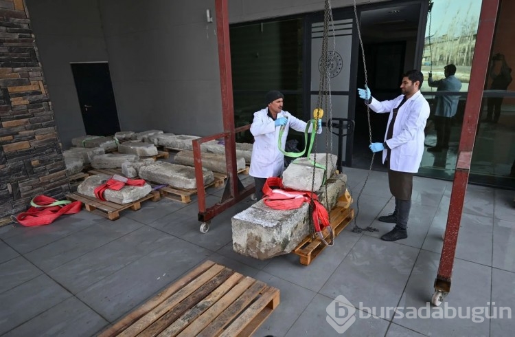 Van Gölü'nde ortaya çıkan şahideler ince ince temizleniyor
