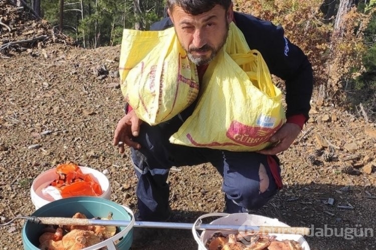 Mevsiminde topladığı mantarları satarak ayda yaklaşık 90 bin lira kazanıyor