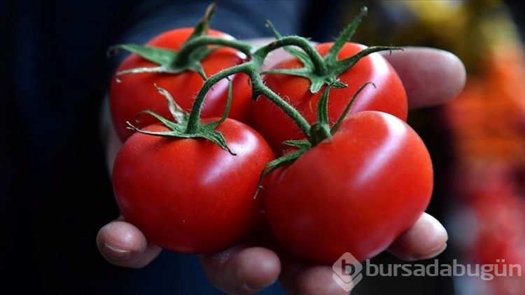 Tükettiğinizde güzelleşmenize yardımcı olacak 18 yiyecek
