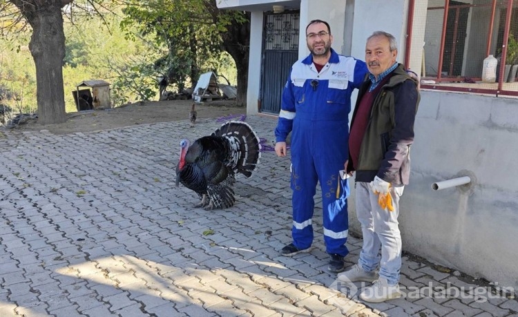 Osmaniye'de ilginç olay: Yılbaşında kesilmek yerine emekli edildi
