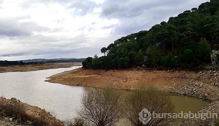 Bodrum'da tehlike çanları çalıyor