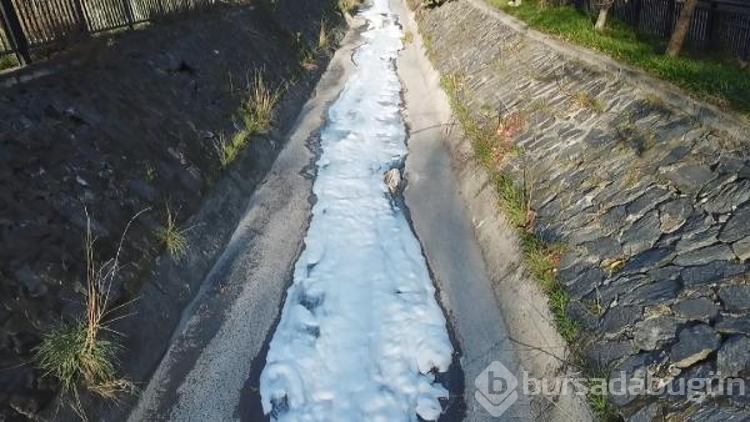Esenyurt'ta dere yine köpürdü
