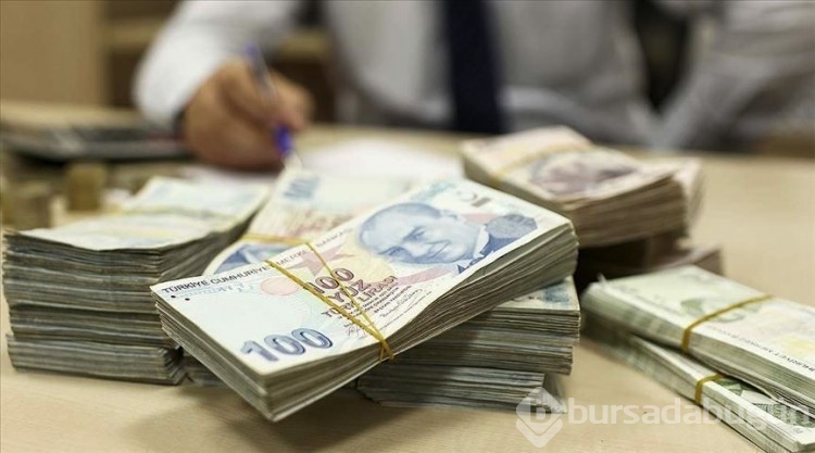 Dikkat edin! 2024'te verilecek ceza oranları yükseltildi