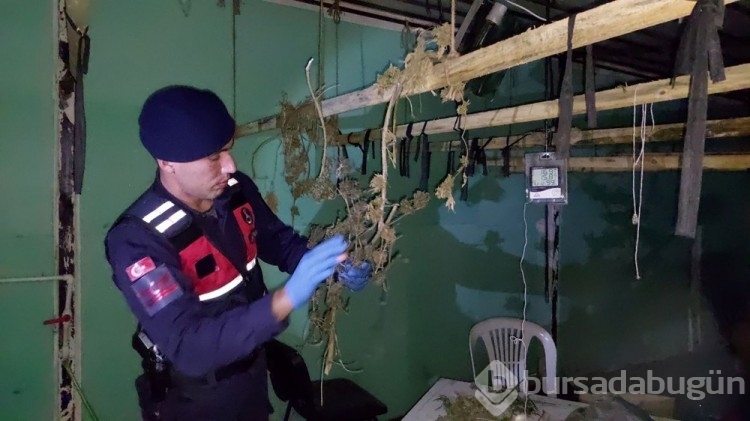 Dışı fabrika içi uyuşturucu serası
