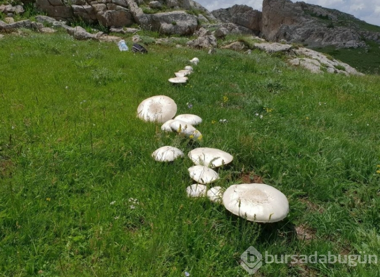 Manisa'dan tüm Türkiye'ye uyarı yapıldı.