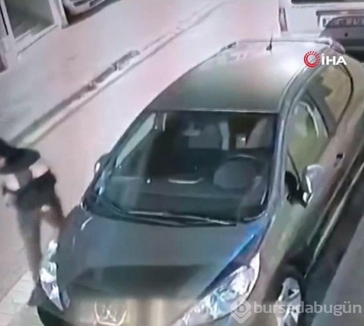 İstanbul'daki galerici infazında Daltonlar izi
