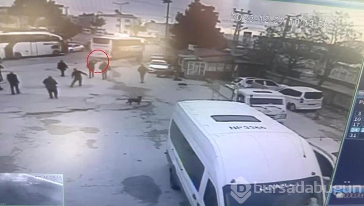 Muavinini ezerek öldüren otobüs şoförü tutuklandı