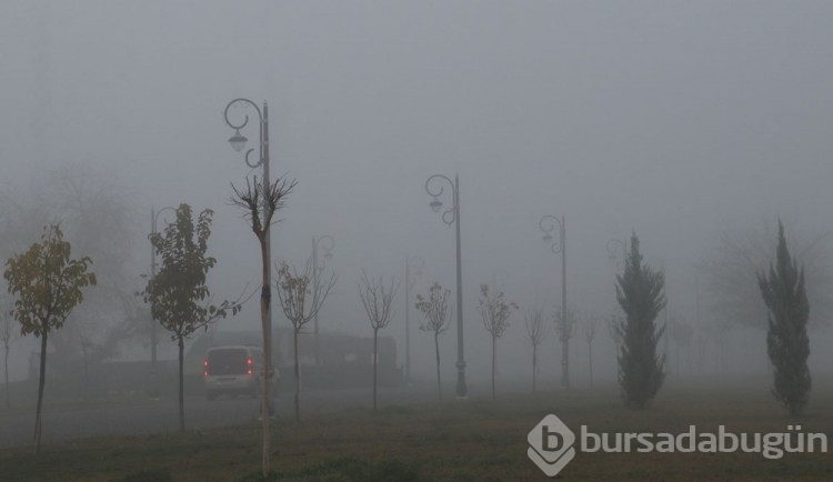 Diyarbakır'da uçuşlara sis rötarı
