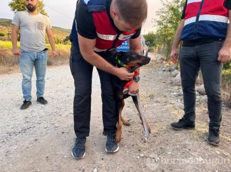 Ekonomist Korhan Berzeg'den 200 gündür haber yok