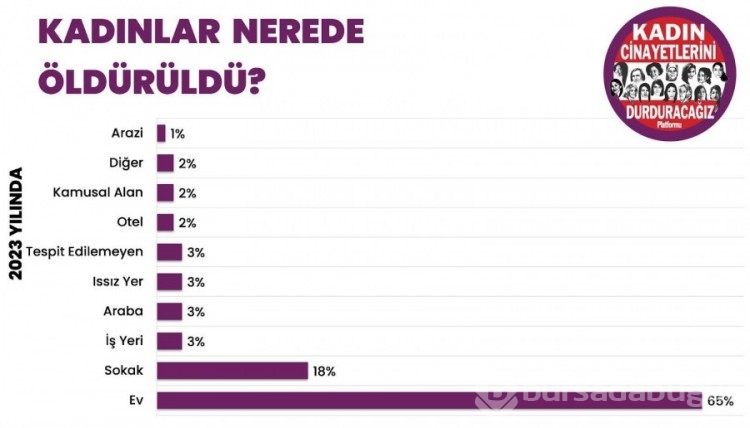 Kadın cinayetlerinde 2023 bilançosu: 11'i Bursa'da olmak üzere 315 kadın katledildi