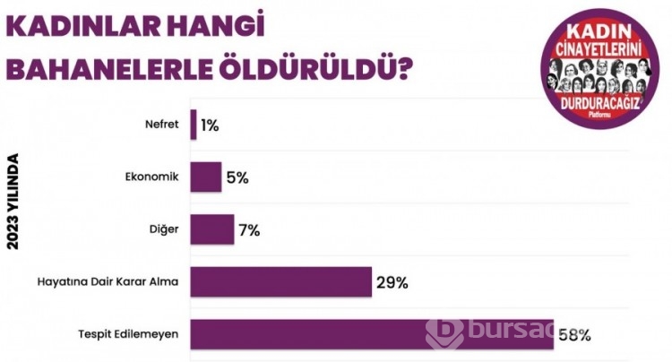 Kadın cinayetlerinde 2023 bilançosu: 11'i Bursa'da olmak üzere 315 kadın katledildi
