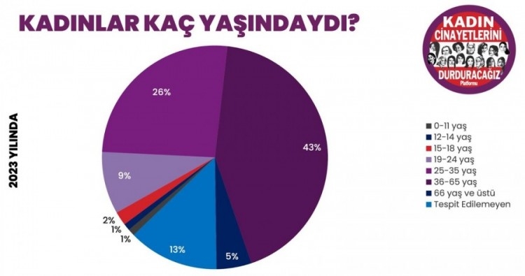 Kadın cinayetlerinde 2023 bilançosu: 11'i Bursa'da olmak üzere 315 kadın katledildi