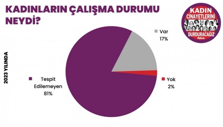 Kadın cinayetlerinde 2023 bilançosu: 11'i Bursa'da olmak üzere 315 kadın katledildi