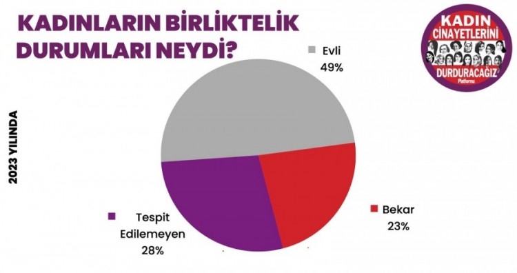 Kadın cinayetlerinde 2023 bilançosu: 11'i Bursa'da olmak üzere 315 kadın katledildi