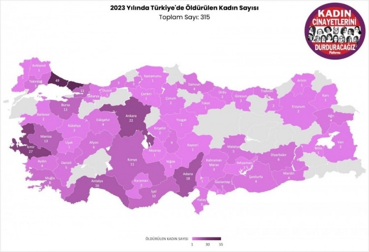 Kadın cinayetlerinde 2023 bilançosu: 11'i Bursa'da olmak üzere 315 kadın katledildi