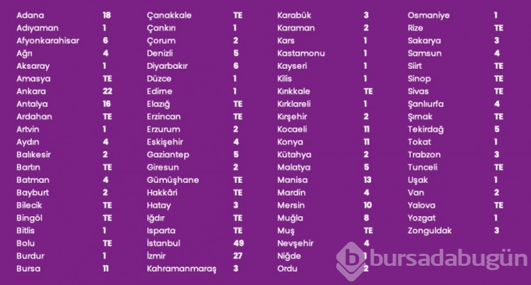 Kadın cinayetlerinde 2023 bilançosu: 11'i Bursa'da olmak üzere 315 kadın katledildi