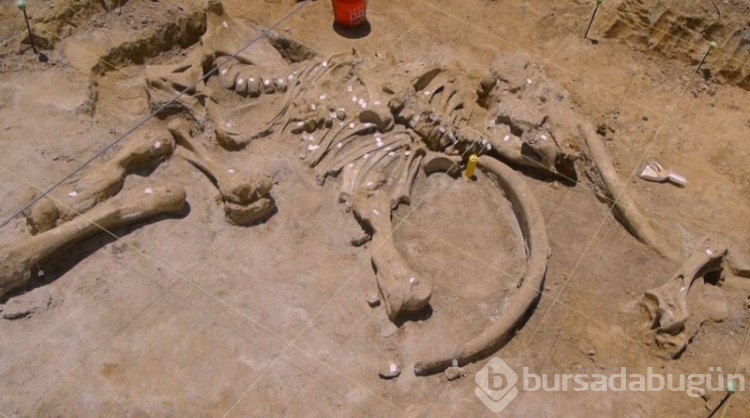 0 bin yıllık. Kömür yerinde çıktı tam 2 metre