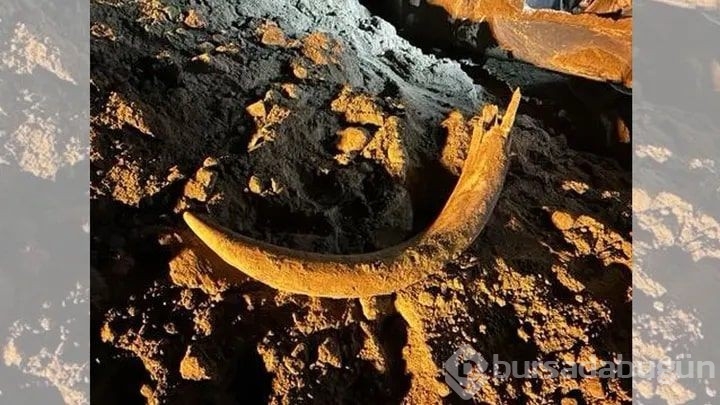 0 bin yıllık. Kömür yerinde çıktı tam 2 metre
