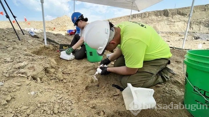 0 bin yıllık. Kömür yerinde çıktı tam 2 metre