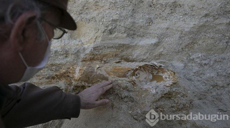 0 bin yıllık. Kömür yerinde çıktı tam 2 metre