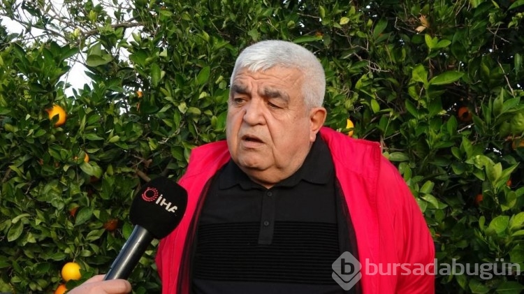 Bahçede 3 TL, markette 45 TL