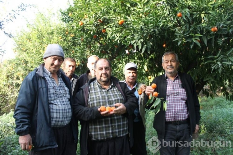 Bahçede 3 TL, markette 45 TL