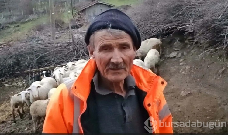Ağıla giren komşunun koyunlara yaptığı güvenlik kamerası ile ortaya çıktı