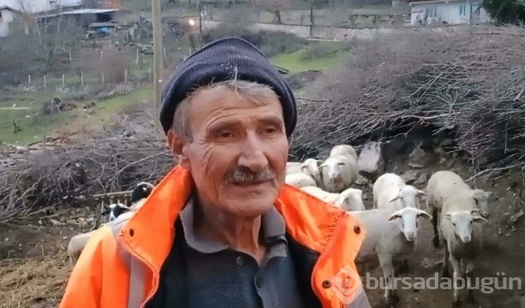 Ağıla giren komşunun koyunlara yaptığı güvenlik kamerası ile ortaya çıktı